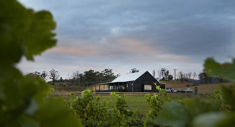 Bangor Vineyard cellar door through the vines | Halliday Wine Companion